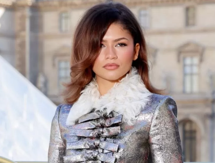 peinado Zendaya