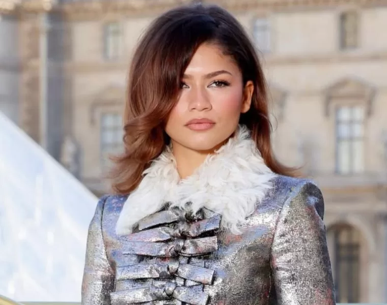 peinado Zendaya