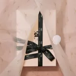 Programas TBC 20 aniversario